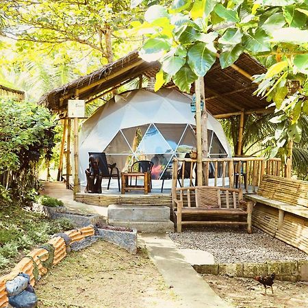 Eco Glamping Treehouses Closest Resort To All Tourist Attractions Balilihan Exteriör bild