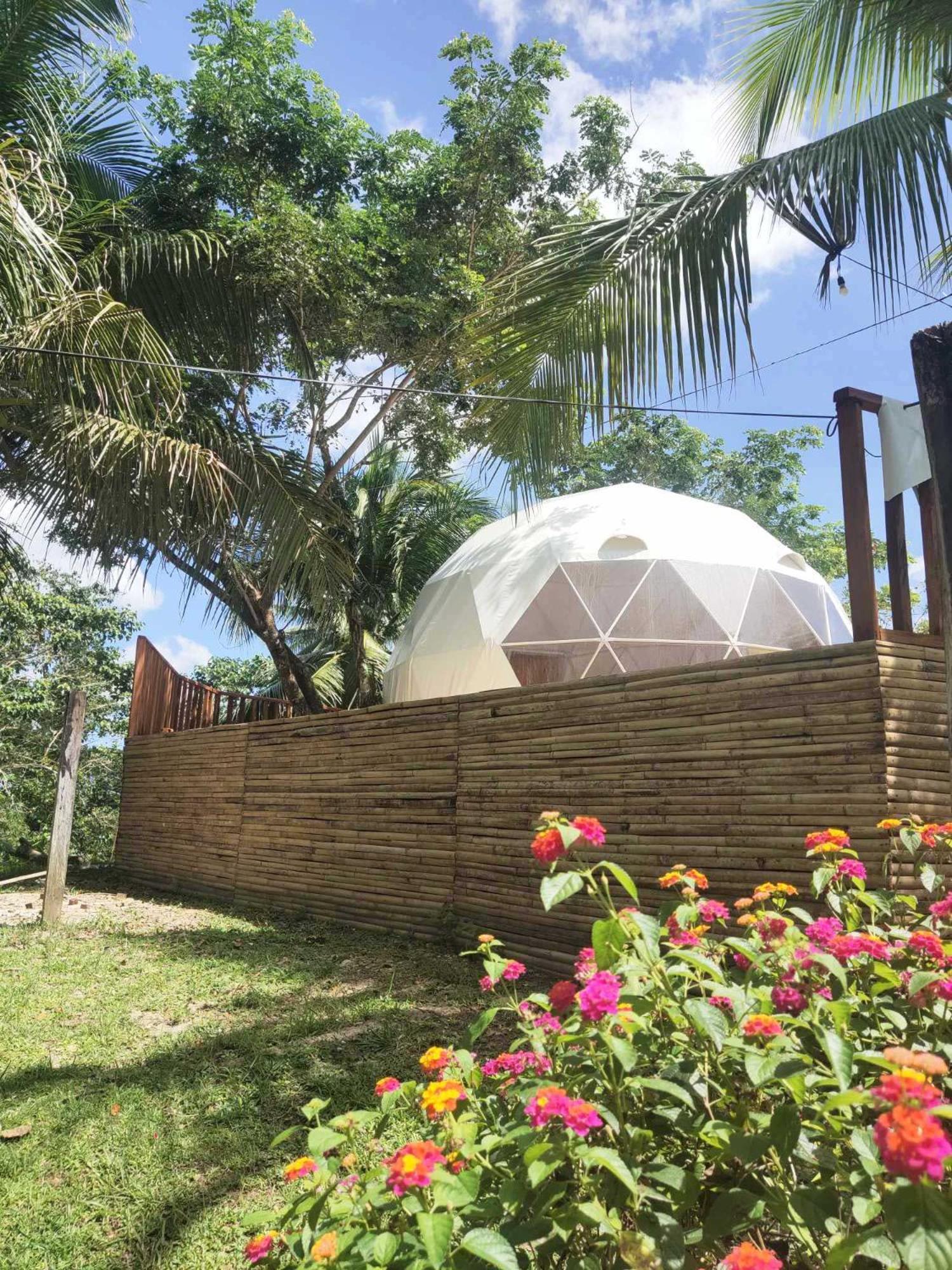 Eco Glamping Treehouses Closest Resort To All Tourist Attractions Balilihan Exteriör bild